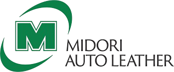 midori-removebg-preview